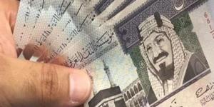 سعر الريال السعودي مقابل الجنيه المصري اليوم الخميس 1 مايو 2025 - تكنو بلس