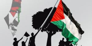 لا تدعموا فلسطين... رجاءً - تكنو بلس