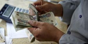 موعد زيادة المرتبات 2025.. الحكومة تُقر زيادة تصل لـ 1600 جنيه - تكنو بلس