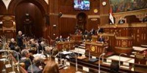 النائب حسانين توفيق يستعرض أمام الجلسة العامة دراسة «الأمن السيبراني - متطلباته وأثره فى تعزيز الاقتصاد الرقمي» - تكنو بلس