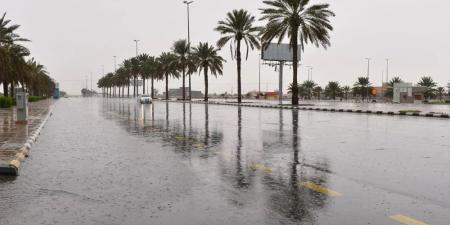 إنذار أحمر.. أمطار غزيرة ورياح شديدة على جازان والباحة - تكنو بلس