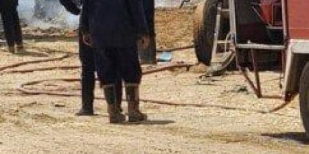 إنقاذ ٢٠٠٠ رأس ماشية من حريق بإحدى المزارع بمركز ومدينة أبو صوير - تكنو بلس