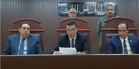 المُشدد لـ «شقيقين» بتهمة قتل شخص وإصابة آخرين واستعراض القوة بالقليوبية - تكنو بلس