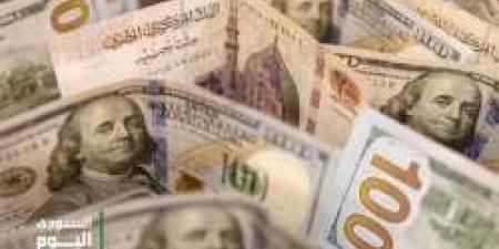 سعر الدولار اليوم مقابل الجنيه المصري الثلاثاء 6 مايو 2025م في بداية التعاملات - تكنو بلس