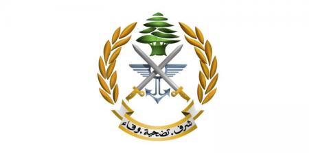 الجيش: سنفجّر ذخائر غير منفجرة في بلدة كترمايا- الشوف - تكنو بلس