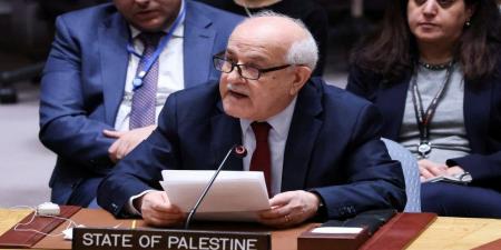 مندوب فلسطين لدى الأمم المتحدة يبعث برسائل متطابقة لأمميين بشأن العدوان الإسرائيلي على غزة - تكنو بلس