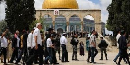 فيديو لصراخ أطفال مع جدتهم في مصر يتسبب في ضجة.. والسلطات تكشف التفاصيل - تكنو بلس