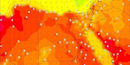 أجواء حارة.. تفاصيل حالة الطقس في مصر اليوم الأربعاء 7 مايو 2025 - تكنو بلس