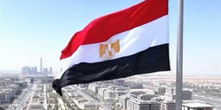 21 مصريا يتنازلون عن جنسيتهم للحصول على أجنبية - تكنو بلس