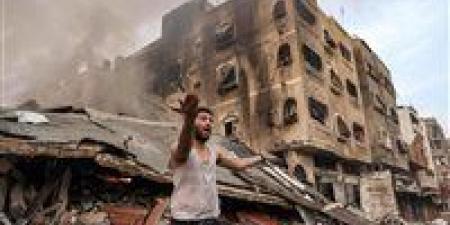 استاذ علوم سياسية: القضية الفلسطينية تم اختطافها لمصالح بعض الدول - تكنو بلس