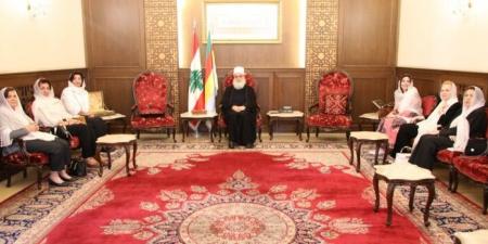 أبي المنى عرض مع السفير الفرنسي التطورات في سوريا ولبنان ودعا لضمانات تحمي حقوق المواطنين - تكنو بلس