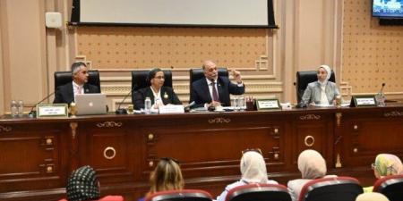 رئيس «تضامن النواب»: مصر حققت تطورا غير مسبوق بملف حقوق الإنسان - تكنو بلس