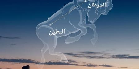 "الإمارات للفلك".. طلوع "منزلة الشرطان" بدءا من 12 مايو علامة دخول الصيف - تكنو بلس