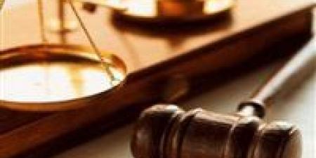 جنايات شبرا الخيمة تعاقب المتهم بقتل زوجته بالسجن 15 عاما - تكنو بلس