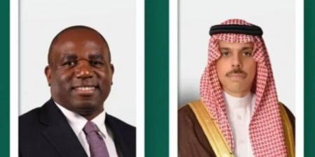 السعودية و بريطانيا تبحثان العلاقات الثنائية والتطورات الإقليمية والدولية - تكنو بلس