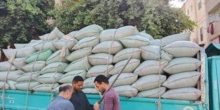 صوامع المنيا تستقبل الخير.. 249 ألف طن قمح تعزز الأمن الغذائي - تكنو بلس