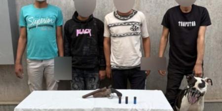 الداخلية تكشف تفاصيل مشاجرة بالأسلحة النارية بالجيزة  .. فيديو  - تكنو بلس