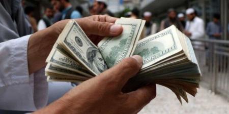 سعر الدولار اليوم الخميس في مصر.. في البنك المركزي بكام؟ - تكنو بلس