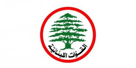 القوّات: ملتزمون الحياد الإيجابي في الإنتخابات البلديّة في الفاكهة - الجديدة - تكنو بلس