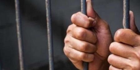 السجن المشدد والمؤبد للمتهمين بـ «خلية المرج الإرهابية» - تكنو بلس