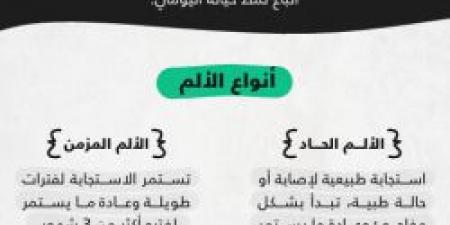 ما المقصود بالألم ؟ مجلس الصحة الخليجي يجيب في دليل التعامل مع آلام الظهر - تكنو بلس