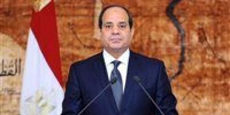 الرئيس عبد الفتاح السيسي يعود إلى أرض الوطن بعد مشاركته بالقمة في العراق - تكنو بلس