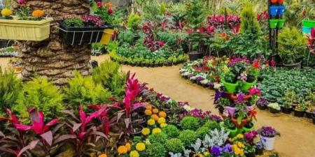 وزارة الزراعة تعلن تفاصيل تمديد معرض زهور الربيع حتى نهاية مايو - تكنو بلس