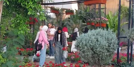 بسبب الإقبال الجماهيري.. "الزراعة" تقرر مدّ معرض "زهور الربيع" حتى نهاية مايو - تكنو بلس