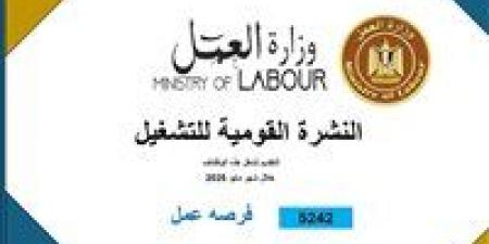 العمل : 5242 فُرصة عمل جديدة في 50 شركة .. والتقديم في هذا الموعد - تكنو بلس