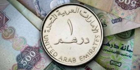 أسعار الدرهم الإماراتي في مصر اليوم.. الأحد 18 مايو 2025 - تكنو بلس