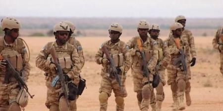 الجيش الصومالي ينفذ عملية عسكرية ضد المليشيا الإرهابية - تكنو بلس