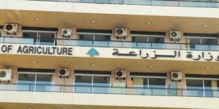 وزارة الزراعة دانت جريمة قتل كلب في قب الياس: تم توقيف الجاني وحماية الحيوانات مسؤولية - تكنو بلس