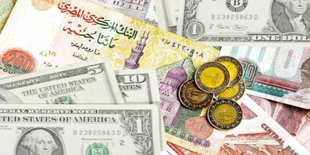 أسعار العملات الأجنبية اليوم الاثتين 19-5-2025 - تكنو بلس