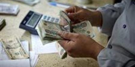موعد صرف معاشات شهر يونيو 2025.. وطرق الاستعلام - تكنو بلس