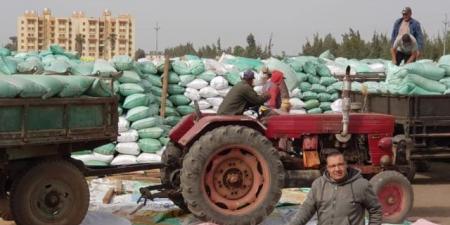 محافظ كفرالشيخ: توريد 178 ألف طن من الأقماح المحلية حتى الآن - تكنو بلس