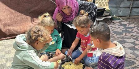 22 دولة تطالب الاحتلال بالسماح بدخول المساعدات إلى غزة بإشراف أممي - تكنو بلس