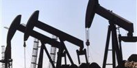 64.90 دولار للبرميل.. 4 عوامل تهبط بأسعار النفط عالميًا وسط قلق اقتصادي - تكنو بلس