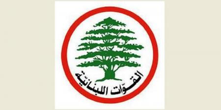 "القوات": نلتزم الحياد تجاه اللائحتين في راشيا الفخار ونترك القرار للناخبين - تكنو بلس