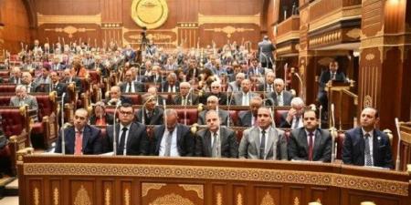 شروط الترشح الفردي في انتخابات النواب بالتعديلات الجديدة - تكنو بلس