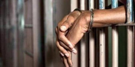 المؤبد للمتهم بقتل شخص ثأرا لمقتل والدته بالقليوبية - تكنو بلس