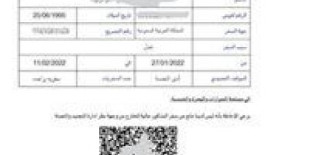 لتسهيل الخدمات الحكومية.. خطوات استخراج تصريح السفر الإلكتروني 2025 - تكنو بلس