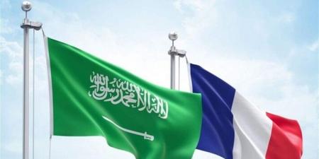 سلطات فرنسا والسعودية طالبتا بإجراءات ملموسة باتجاه حل الدولتين قبيل مؤتمر بشأن القضية الفلسطينية - تكنو بلس