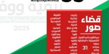 حركة أمل: 55 بلدية من أصل 99 فازت فيها لوائح التنمية والوفاء بالتزكية في أقضية صور وبنت جبيل ومرجعيون - تكنو بلس