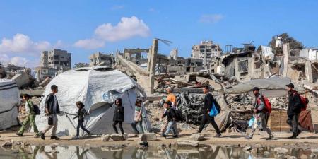 نتيجة القصف الإسرائيلى.. طبيبة أطفال فلسطينية تستقبل أطفالها الـ7 أشلاء متفحمين - تكنو بلس