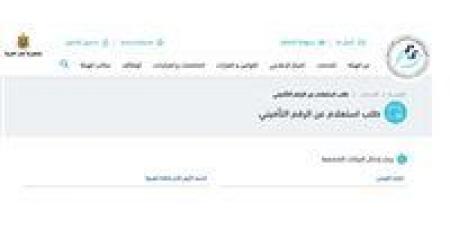 توفيرًا للوقت والجهد.. خطوات الاستعلام عن برنت التأمينات الاجتماعية 2025 إلكترونيًا - تكنو بلس