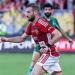عمر كمال عبد الواحد، اصابة لاعب الأهلي تضرب صفوف الفريق قبل مواجهه حرس الحدود - تكنو بلس