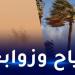 أمطار رعدية وزوابع رملية عبر هذه الولايات - تكنو بلس