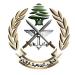 الجيش حذّر من افتعال إشكالات وإطلاق النار: توقيف 4 مواطنين ببعلبك ودروس لحيازتهم مسدسات حربية - تكنو بلس