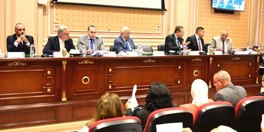 الوزير محمود فوزى: لا انحياز لطرف على الآخر بمناقشات مشروع قانون الإيجار القديم - تكنو بلس
