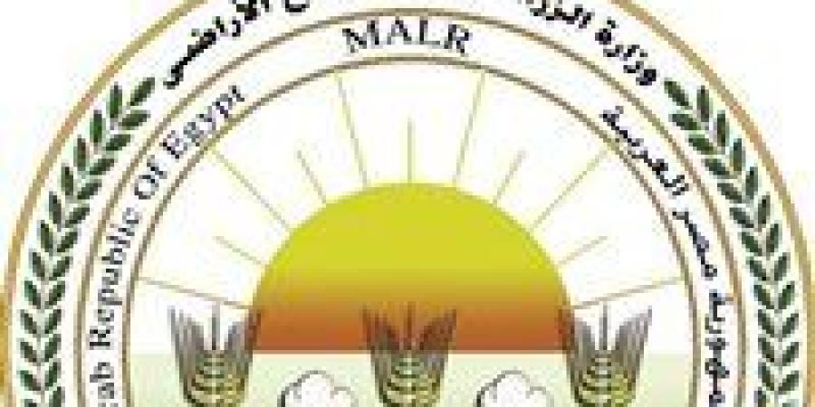 لرفع العبء عن المواطنين.. «الزراعة»: طرح بيض المائدة بسعر 115 جنيه للطبق - تكنو بلس